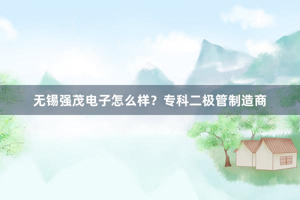 无锡强茂电子怎么样？专科二极管制造商