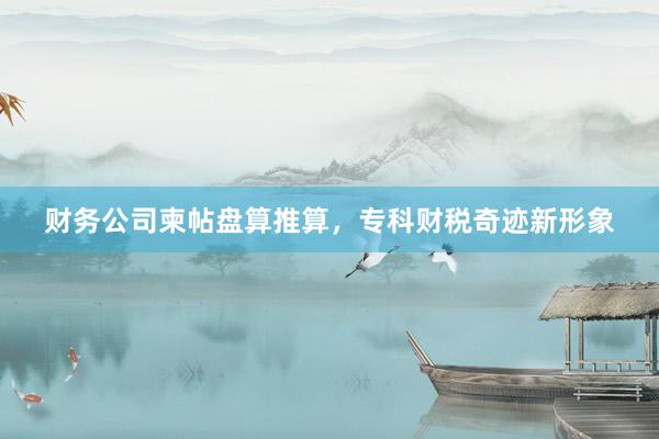 财务公司柬帖盘算推算，专科财税奇迹新形象